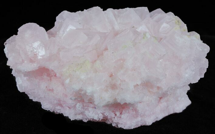 Pink Halite Crystal Plate - Trona, California #61049